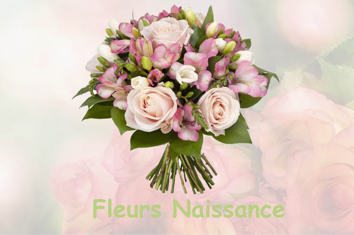 fleurs naissance TAPONNAT-FLEURIGNAC